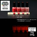 【スーパーSALE 開催】蓄光塗料 20g~ Orange発光ベース 0020【オレンジ着色・ 蓄光塗料(夜光塗料)】 オレンジ 沈殿しにくい 夜光 発光 業務用 家庭用 DIY スライム おもちゃ アクセサリー ハンドメイド 光る ホビー クラフト安全 アクリル ウレタン ラッカー インク
