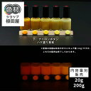 【スーパーSALE 開催】蓄光塗料 20g~ Orange発光ベース 0040【イエロー着色・ 蓄光塗料(夜光塗料)】 オレンジ 沈殿しにくい 夜光 発光 業務用 家庭用 DIY スライム おもちゃ アクセサリー ハンドメイド 光る ホビー クラフト安全 アクリル ウレタン ラッカー インク