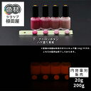 【スーパーSALE 開催】蓄光塗料 20g~ Orange発光ベース 0090【パープル/ピンク着色・ 蓄光塗料(夜光塗料)】 オレンジ 沈殿しにくい 夜光 発光 業務用 家庭用 DIY スライム おもちゃ アクセサリー ハンドメイド 光る ホビー クラフト安全 アクリル ウレタン ラッカー インク