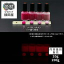 【スーパーSALE 開催】蓄光塗料 20g~ Orange発光ベース 0100【ピンク着色・ 蓄光塗料(夜光塗料)】 オレンジ 沈殿しにくい 夜光 発光 業務用 家庭用 DIY スライム おもちゃ アクセサリー ハンドメイド 光る ホビー クラフト安全 アクリル ウレタン ラッカー インク