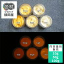 蓄光インク 繊維用 10g~ Orange発光ベース 0035【イエロー着色・繊維プリント用蓄光インク】 オレンジ 夜光塗料 繊維用シルクスクリーン印刷インク 業務用 家庭用 そのまま使える DIY シルク ポリエステル シルクスクリーン ホビー 光る ホビー クラフト安全