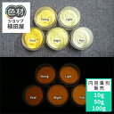 蓄光インク 繊維用 10g~ Orange発光ベース 0040【イエロー着色・繊維プリント用蓄光インク】 オレンジ 夜光塗料 繊維用シルクスクリーン印刷インク 業務用 家庭用 そのまま使える DIY シルク ポリエステル シルクスクリーン ホビー 光る ホビー クラフト安全