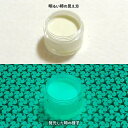 蓄光インク 繊維用 10g~ B_Emerald 202【エメラルド発光・繊維プリント用蓄光インク】 無着色 夜光塗料 繊維用シルクスクリーン印刷インク 業務用 家庭用 そのまま使える DIY シルク ポリエステル シルクスクリーン ホビー 光る ホビー クラフト安全