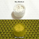 蓄光インク 繊維用 10g~ B_Yellow 101【イエロー発光・繊維プリント用蓄光インク】 無着色 夜光塗料 繊維用シルクスクリーン印刷インク 業務用 家庭用 そのまま使える DIY シルク ポリエステル シルクスクリーン ホビー 光る ホビー クラフト安全