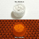 蓄光インク 繊維用 10g~ REO-1【オレンジ発光・繊維プリント用蓄光インク】 無着色 夜光塗料 繊維用シルクスクリーン印刷インク 業務用 家庭用 そのまま使える DIY シルク ポリエステル シルクスクリーン ホビー 光る ホビー クラフト安全