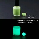 蓄光塗料 20g~ B_Emerald 203 M【エメラルド発光・ 蓄光塗料(夜光塗料)】 無着色 沈殿しにくい 夜光 発光 業務用 家庭用 DIY スライム おもちゃ アクセサリー ハンドメイド 光る ホビー クラフト安全 アクリル ウレタン ラッカー インク