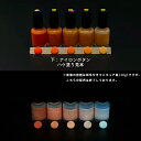 蓄光塗料 20g~ Blue発光ベース 0030【オレンジ着色・ 蓄光塗料(夜光塗料)】 ブルー 沈殿しにくい 夜光 発光 業務用 家庭用 DIY スライム おもちゃ アクセサリー ハンドメイド 光る ホビー クラフト安全 アクリル ウレタン ラッカー インク