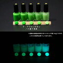 蓄光塗料 20g~ Blue発光ベース 0060【グリーン着色・ 蓄光塗料(夜光塗料)】 ブルー 沈殿しにくい 夜光 発光 業務用 家庭用 DIY スライム おもちゃ アクセサリー ハンドメイド 光る ホビー クラフト安全 アクリル ウレタン ラッカー インク