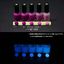 蓄光塗料 20g~ Blue発光ベース 0080【パープル着色・ 蓄光塗料(夜光塗料)】 ブルー 沈殿しにくい 夜光 発光 業務用 家庭用 DIY スライム おもちゃ アクセサリー ハンドメイド 光る ホビー クラフト安全 アクリル ウレタン ラッカー インク