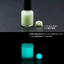蓄光塗料 20g~ PB025【ブルーグリーン発光・ 蓄光塗料(夜光塗料)】