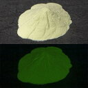 蓄光パウダー 粉末 【高輝度】2g~ GSS【グリーン発光/硫化系・】 蓄光顔料 無着色 夜光 パウダー 粉 顔料 高輝度 発光 業務用 家庭用 DIY スライム おもちゃ アクセサリー ハンドメイド 光る ホビー クラフト安全