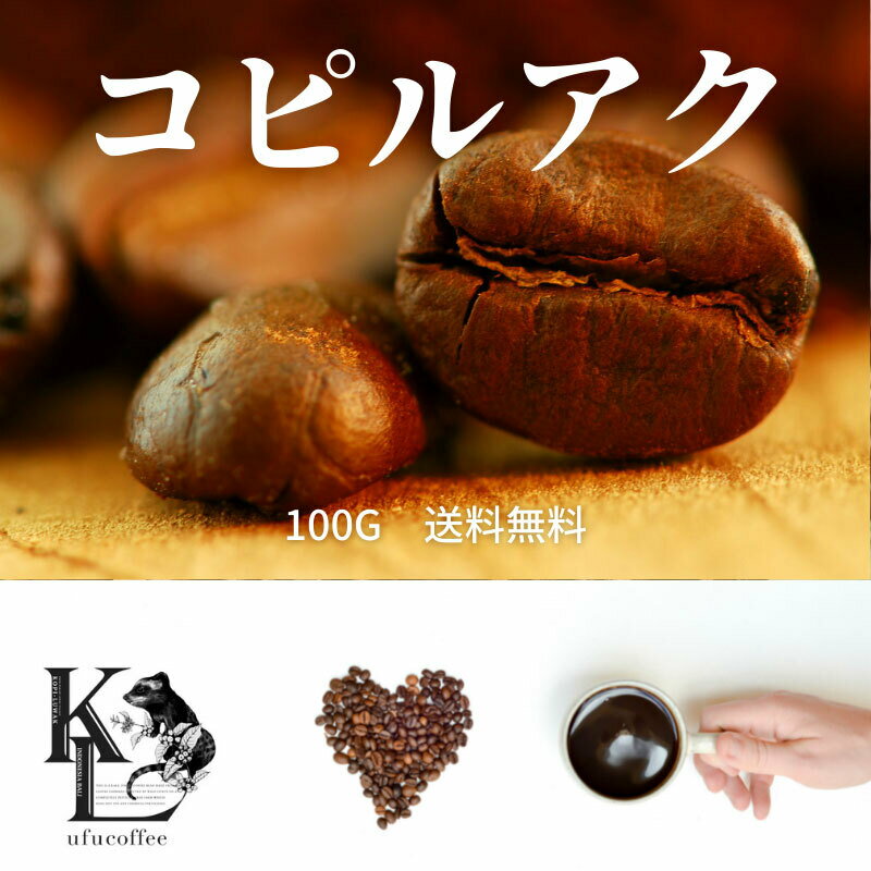 コピルアック 送料無料 新入荷 天然100% ジャコウネココーヒー 100g コピルアク シベットコーヒー コーヒー 珈琲豆 コーヒー豆 自家焙煎コーヒー ドリップコーヒー アイスコーヒー豆 浅煎り 浅煎 高級 珈琲【野生】【売れ筋】【オススメ】