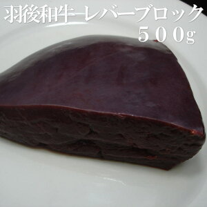 【おひとり様2個まで】羽後和牛 レバーブロック 500gの画像