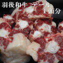 羽後和牛 テール 1本(1頭分)