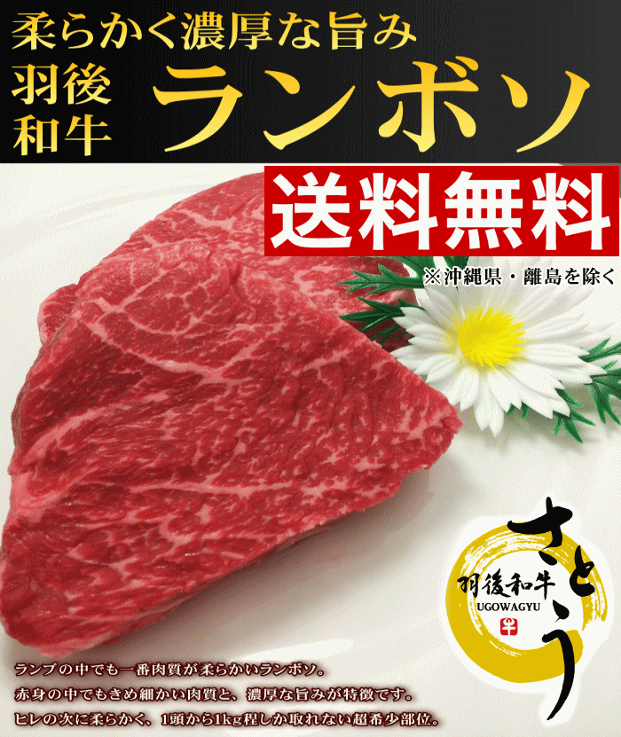 《送料無料！お中元セール》秋田県産　羽後和牛　特上ランボソステーキ　400g（100g×4枚）