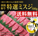 《送料無料!お中元セール》秋田県産 羽後和牛 特選ミスジ焼肉用 500g