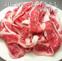 羽後和牛　切り落とし　500g