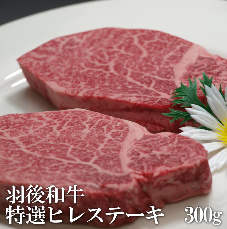 羽後和牛　特選ヒレス