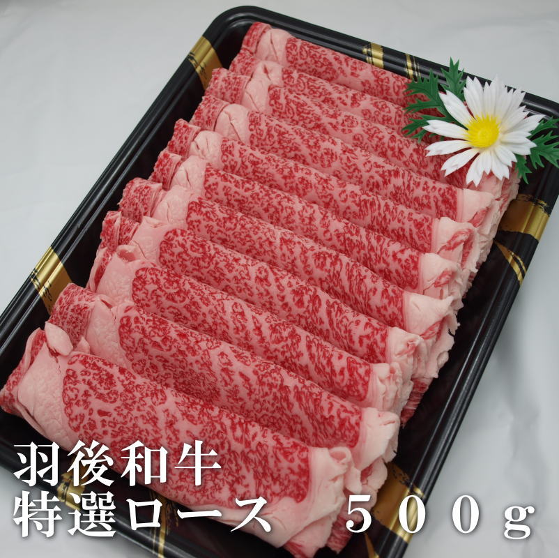 羽後和牛　特選ロース　すき焼き用　500g