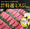 羽後和牛 特選ミスジ焼肉用 500g
