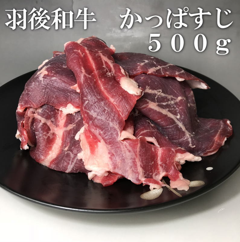 羽後和牛　かっぱすじ　500g