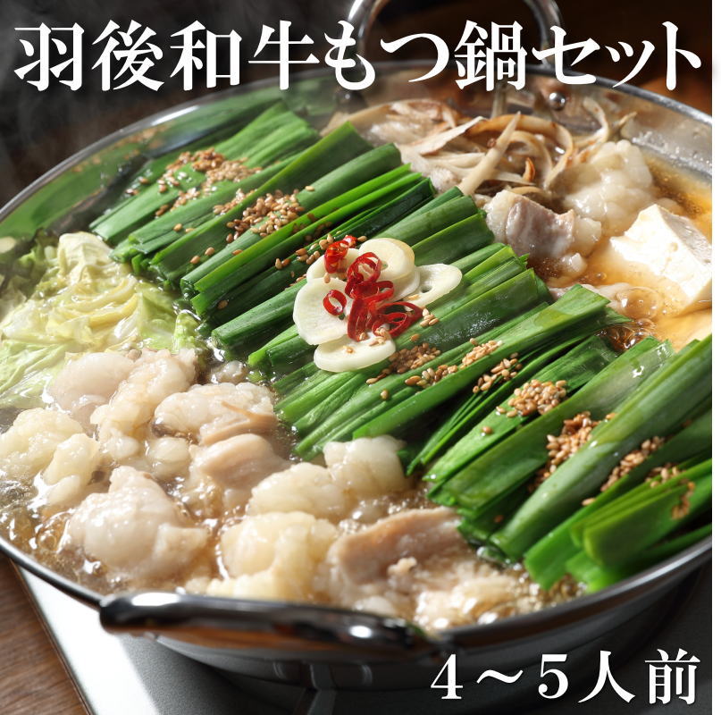 【コプチャン増量中♪】羽後和牛もつ鍋セット 4〜5人前