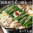 【コプチャン増量中♪】羽後和牛もつ鍋セット 6〜7人前