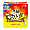 ホッカイロ 貼る ミニ 30個入(4)