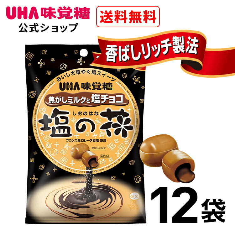 UHA味覚糖 塩の花 焦がしミルクと塩チョコ 12袋のサムネイル