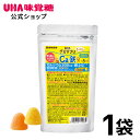 【公式】UHA味覚糖 グミサプリKIDS(キッズ)カルシウム&鉄 20日分(100粒) パイナップル味&マンゴー味アソート 1袋【2歳ごろ〜】通販限定