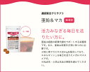 uha-mikakuto:10000336のサンプル画像3