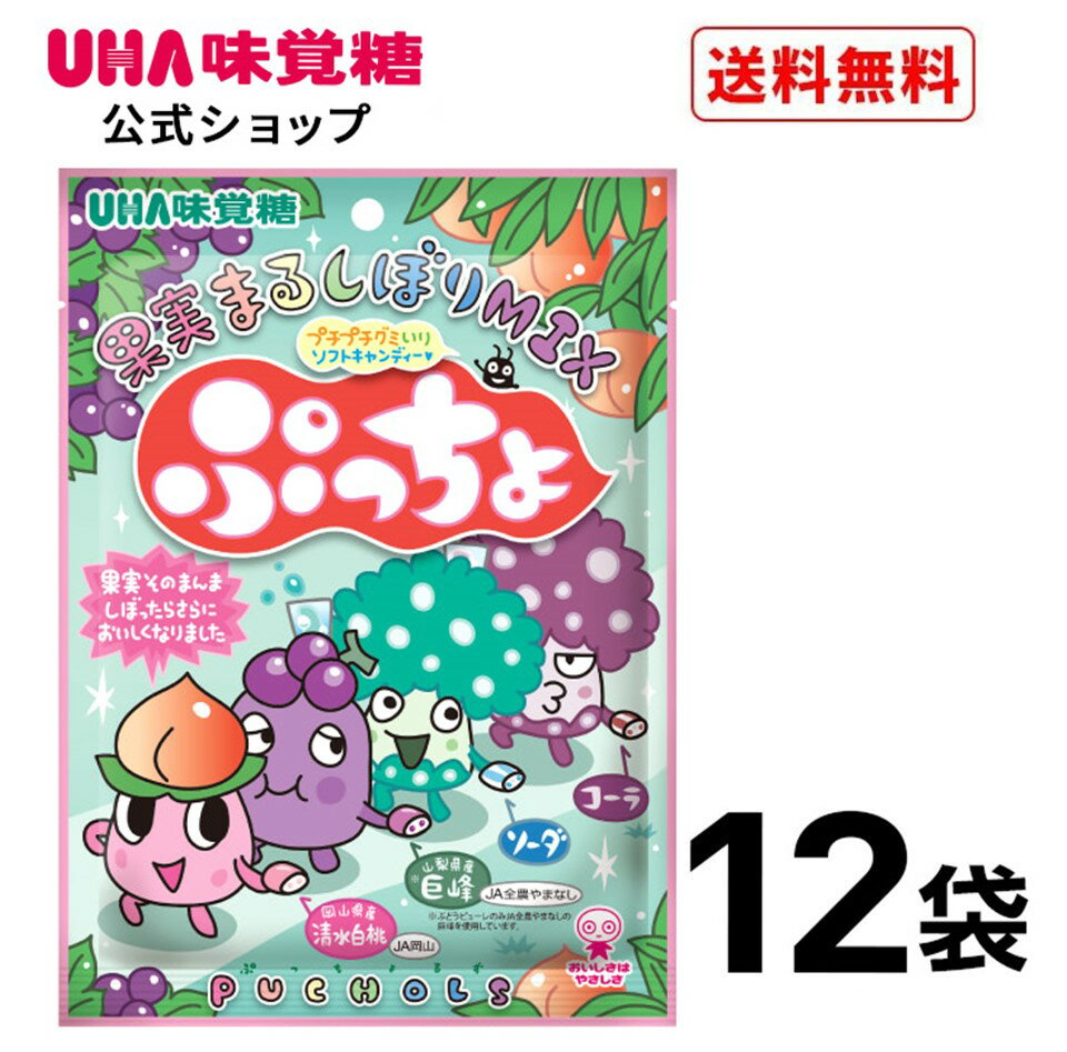 ＜お買い物マラソン全品5倍＆限定クーポン5/16(木)1:59まで＞まとめ買い UHA味覚糖 ぷっちょ袋 4種アソート 12袋セット 送料無料