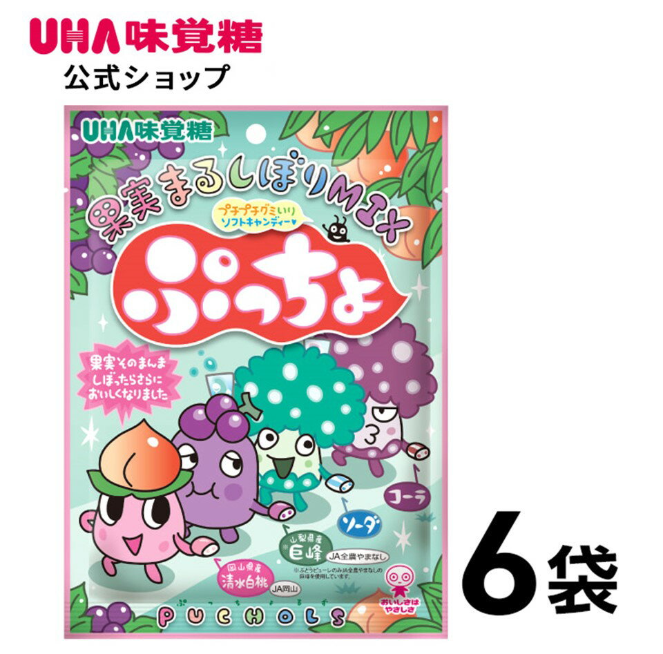 【公式】UHA味覚糖 ぷっちょ袋 4種アソート 6袋セット