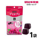 【公式】UHA味覚糖 グミサプリ 鉄 20日分