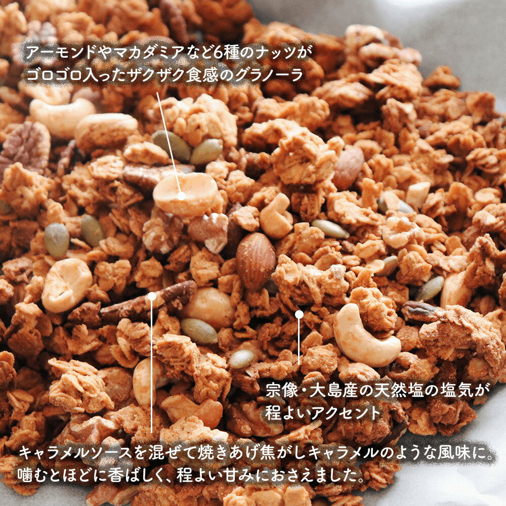Uiqoのザクカリ！米粉グラノーラシリーズ米粉の塩キャラメルグラノーラ《100g》 プチサイズ グルテンフリー 米粉 はちみつ オートミール 塩キャラメル 食物繊維 ダイエット 健康