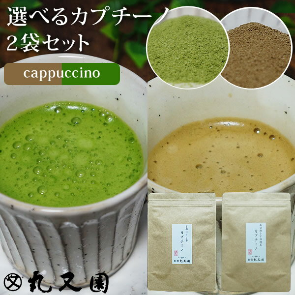 宇治茶 【メール便送料無料】選べる2袋セット 京都 石臼挽き宇治 抹茶カプチーノ ほうじ茶カプチーノ (1袋5本入) スティックタイプ 抹茶ラテ ほうじ茶ラテ 粉末 パウダー 京都宇治茶 カフェ 日本茶 ギフト プレゼント バレンタインデー ラテ【丸又園】