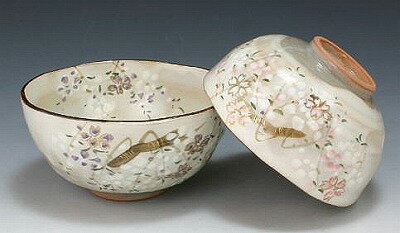 ご飯茶碗 夫婦茶碗 セット ペア 飯碗 京焼 清水焼 陶器製 日本製 器 夫婦茶碗 組飯碗 2客セット 紙箱入り ご飯茶碗 京の春（きょうのはる） おしゃれ 高級 プレゼント 人気 和食器