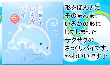 【新商品】そのまんまいるかパイ6個入　かわいい形のパイです。【YDKG-t】