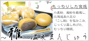 【もっちりのむっちり食感】雅〜温泉まんじゅう〜こしあん　12個入【YDKG-t】【楽ギフ_包装】【楽ギフ_のし宛書】【楽ギフ_メッセ】