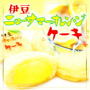 【東伊豆名産】ニューサマーオレンジの果汁を使用！ニューサマーオレンジケーキ【大】15個入【YDKG-t】