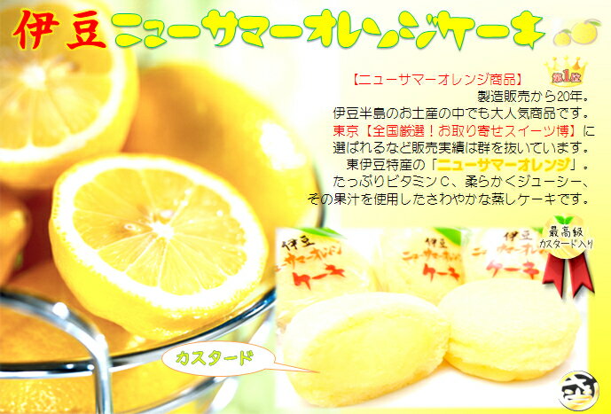 【東伊豆名産】元祖!ニューサマーオレンジケーキ...の紹介画像3