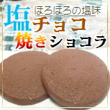 【伊豆大島深層海塩ハマネの塩使用!】[美塩]塩...の紹介画像2