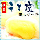 楽天伊豆のお土産〜氏原製菓〜【こだわりの味】【新商品】伊豆うま塩蒸しケーキ　小6個入【YDKG-t】【楽ギフ_包装】【楽ギフ_のし宛書】