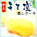 楽天伊豆のお土産〜氏原製菓〜【こだわりの味】【新商品】伊豆うま塩蒸しケーキ　大10個入【YDKG-t】【楽ギフ_包装】【楽ギフ_のし宛書】