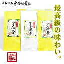 高級茶セット 宇治煎茶 100g×2本 抹茶入り玄米茶 80g×1本 送料無料 お茶 緑茶 茶葉 日本茶 煎茶 宇治茶 宇治煎茶 ギフト 京都府産 御歳暮 御年始