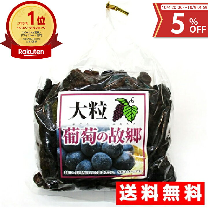 【4日20:00～クーポンで5％OFF】大粒干しぶどう 葡萄の故郷(ぶどうのふるさと) 340g×2袋 送料無料 チリ産 レーズン 大粒レーズン ドライフルーツ