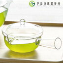 【軽くて割れにくい!】クリア 急須 おしゃれ かわいい 透明 クリア 割れにくい 日本製 食洗器対応 ポット 洗いやすい きゅうす プラスチック トライタン樹脂...