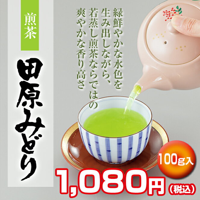 煎茶 田原みどり 100g袋入【京都 お茶 煎茶 日本茶 緑茶 茶葉 宇治田原製茶場 ギフト 贈答 進物 職場 茶葉 ご挨拶 】