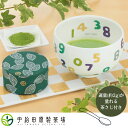 宇治抹茶とSO-SU-Uいっぷく碗(抹茶・抹茶碗・茶さじ) 抹茶 セット 日本茶 宇治 粉末 お試し 茶道 抹茶セット 初心者 京都 宇治抹茶 宇治茶 宇治田原...