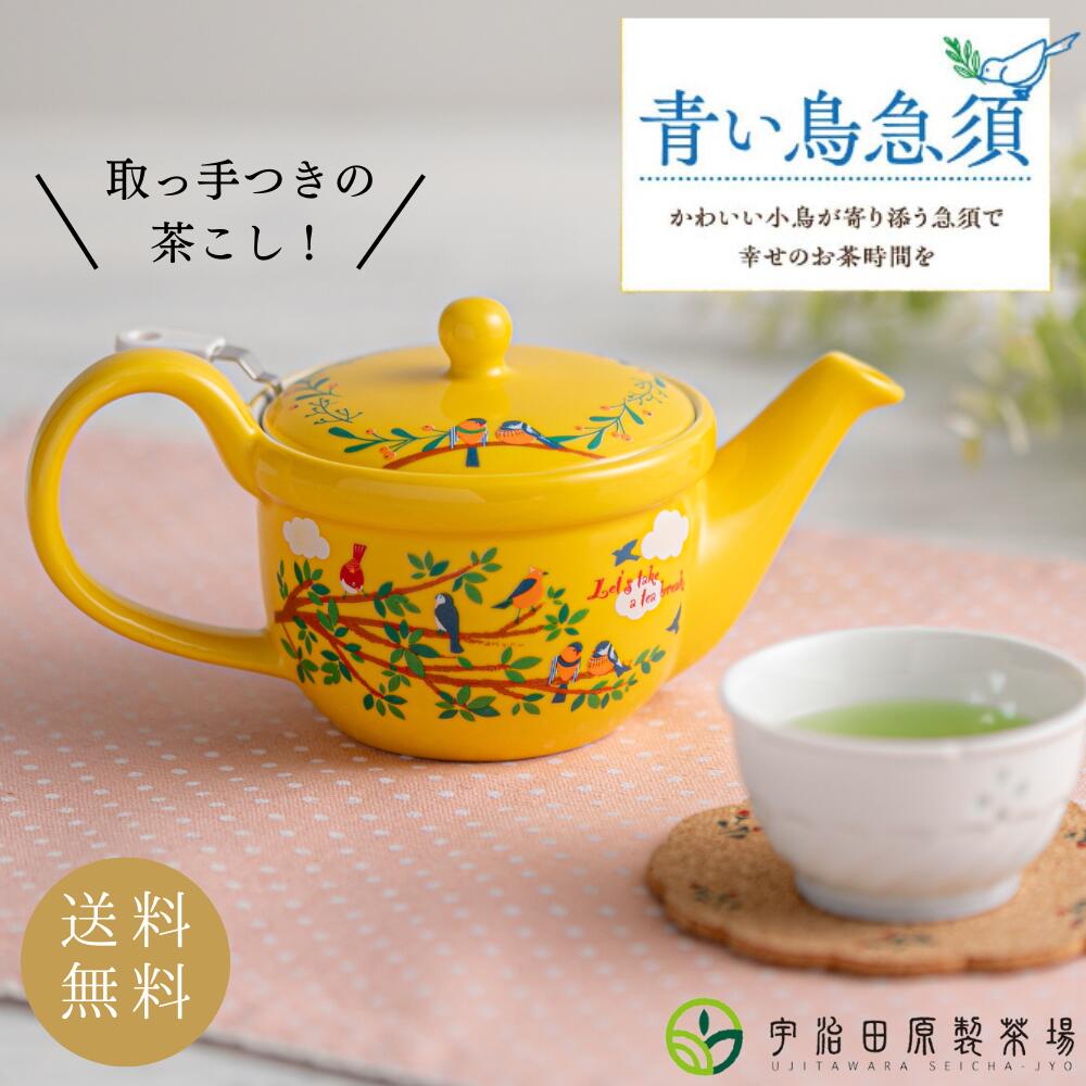 【 送料無料 】急須 CHASTA ( チャスタ ) ISSEN（一煎）ギフト | 煎茶 紅茶 ハーブティー 日本茶 透明急須 透明 急須 おしゃれ 洗いやすい 日本製 国産 オシャレ モダン 和モダン クリア 茶器 トライタン 取っ手無し 取手なし 漂白 茶こし 小さめ 割れない急須 プレゼント